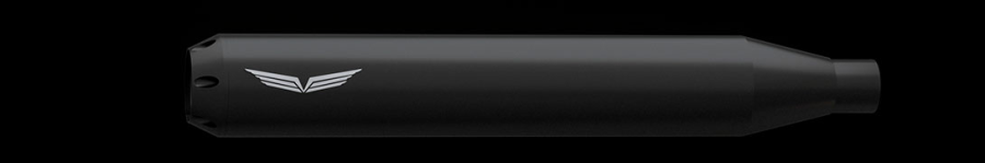 Penzl V2-Speed Elektronische Endtöpfe Fatbob FXDF